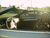 IMGP0310.JPG