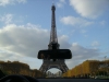 IMGP0429.jpg