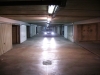IMGP0801.JPG