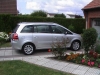 zaf1_(7).JPG