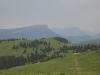 IMG_0606.jpg