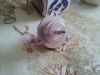 2012-02-11_13_10_08.jpg