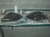imag0038.jpg