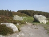 DSCF0045_th.jpg