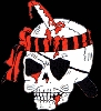 logo-bsn.gif