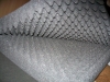 100_5810.JPG