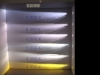 kelvinchart1.jpg