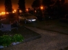 S8000986.JPG