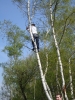 DSC00127.JPG