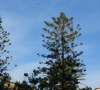 SAM_0418.JPG