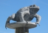 crapaud.jpg