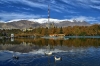 lac15.jpg
