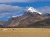mount.jpg