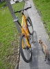 cannondale3.jpg