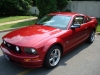 mustang1.JPG