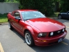 mustang2.JPG