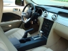 mustang9.JPG