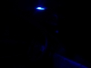 100_0300.JPG
