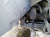 2011-06-18 18_36_41.jpg