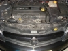 SL370672.JPG