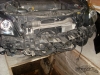SL370686.JPG