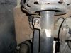 SL371359.JPG