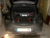 SL372485.JPG