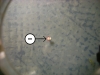 SL372579.JPG