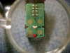 SL372584.JPG