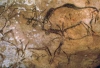 grotte.jpg