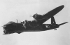 index~54.jpg