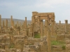 timgad.jpg