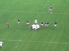2010_Grand_Chelem_021.jpg