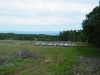DSCF0207.JPG
