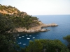 DSCF0596.JPG