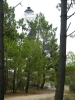 DSCF2048.JPG