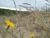DSCF2054.JPG