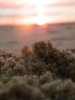 DSCF2134.JPG