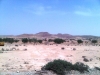 IMG00405-20100815-1030.jpg