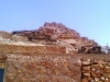 IMG00463-20100815-1147.jpg