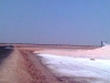 IMG00511-20100815-1524.jpg
