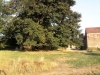 P31.jpg