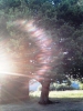 P36.jpg