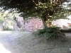 P37.jpg