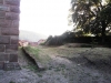 P41.jpg