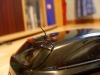 SN850951.JPG