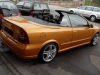 Bertone_Steinmetz2.jpg