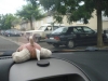 DSC08066.JPG