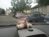 DSC08067.JPG