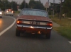 IMG_0022_-_cropped.jpg
